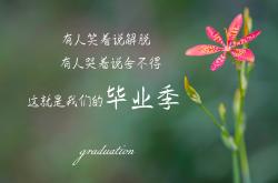 开云sport-孤星耀世，2026世界杯A组焦点战，苏亚雷斯独舞难救主，印度绝地逆袭哥伦比亚