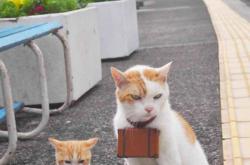 开云体育入口-蓝白风暴席卷2026，吉鲁三分定乾坤，波兰控球碾压喀麦隆书写B组经典战役