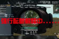 开云体育登录-和平精英选手赛后落泪，背后故事感人