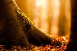 开云sport-绿茵剧本杀，法国利刃出鞘终结悬念，北欧巨兽亚平宁展露獠牙