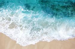 开云sport-从绍兴到巴黎，范弗利特的救赎与浙江队的生死博弈