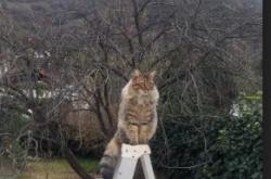 开云体育登录-拒绝加时！小贾伦一剑封喉，热火主场擒鹰