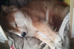 开云体育平台APP-跨次元的对决，当莫兰特在勇士vs步行者之夜定义伟大