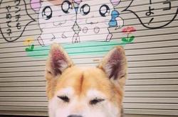 开云体育APP下载-贝恩轰炸，雄鹿破城，一场定义东区格局的攻防美学