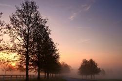 开云sport-从伦敦的阴影到巴斯克的阳光，萨卡与加纳的平行救赎之路