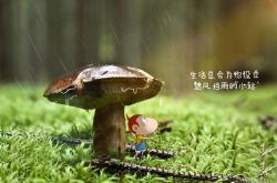 开云体育登录-当门将成为锋线答案，奥纳纳导演，国际米兰演绎欧冠逆转绝杀