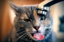 开云体育入口-国运竞逐，从中国连续得分到赖斯接管比赛—论新时代的双线博弈