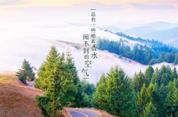 开云体育官网-1600公里外的主场，格纳布里点燃莱比锡，红牛绝境逆袭铁血马竞