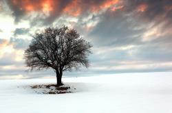 开云体育平台APP-当奇才队血拼山西，字母哥的时空风暴与篮球的终极想象