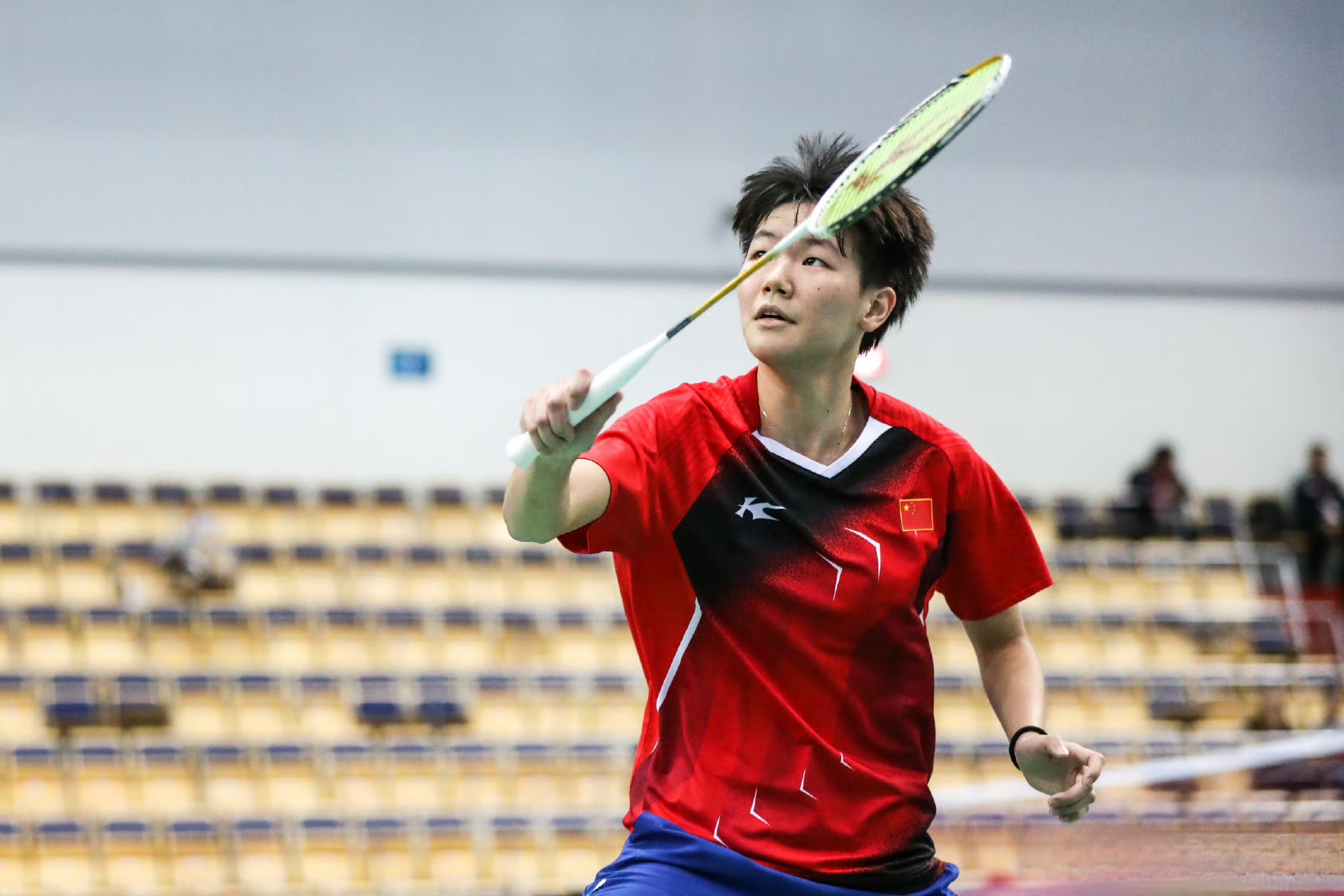 中国羽毛球队轻取韩国羽毛球队，林丹完成帽子戏法的简单介绍