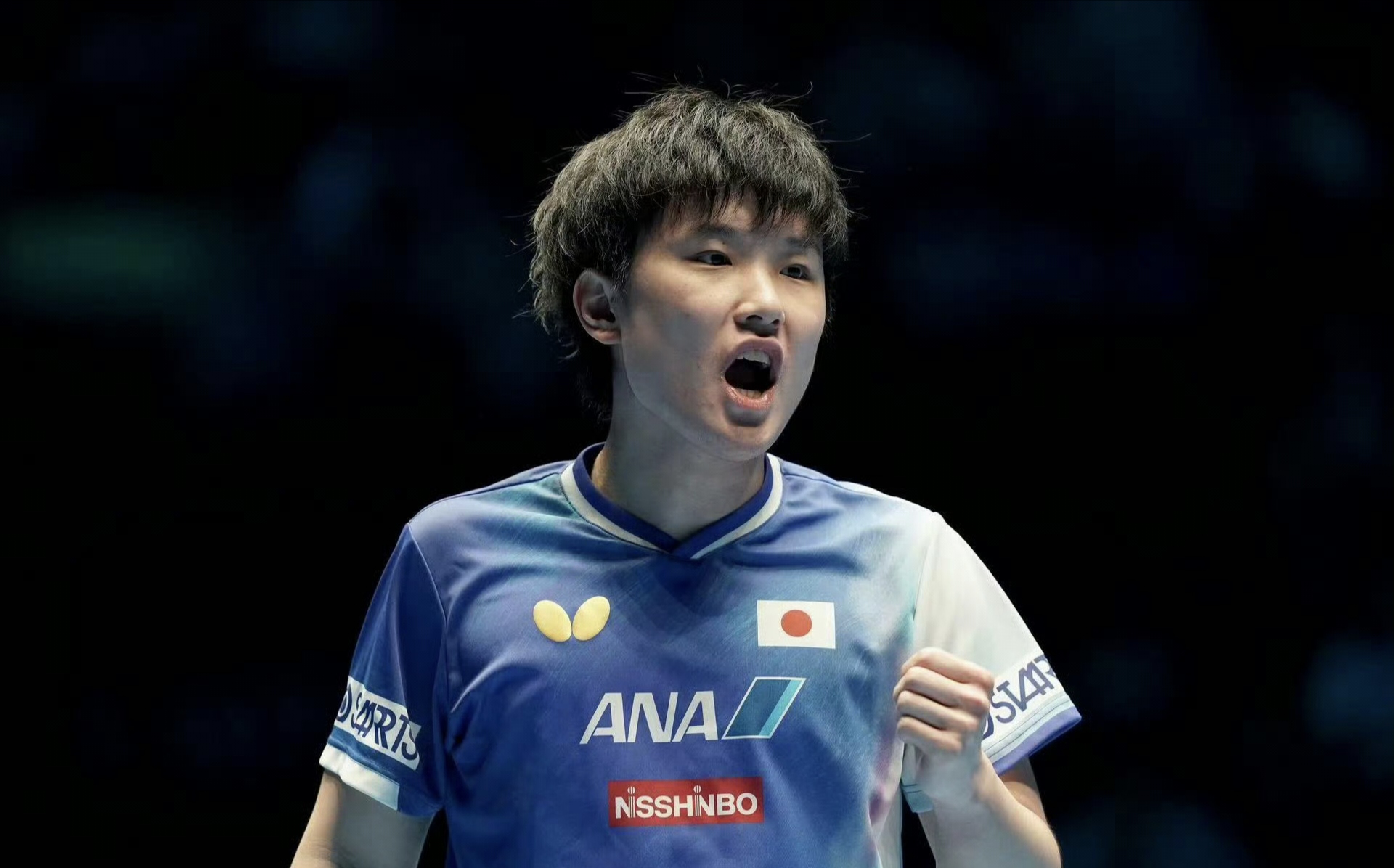 关于奥地利乒乓球队逆转日本乒乓球队，张本智和高光表现的信息