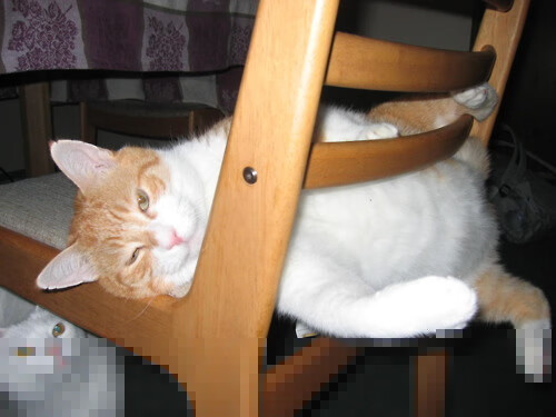 冰与火之歌，逆转之夜与统治之力