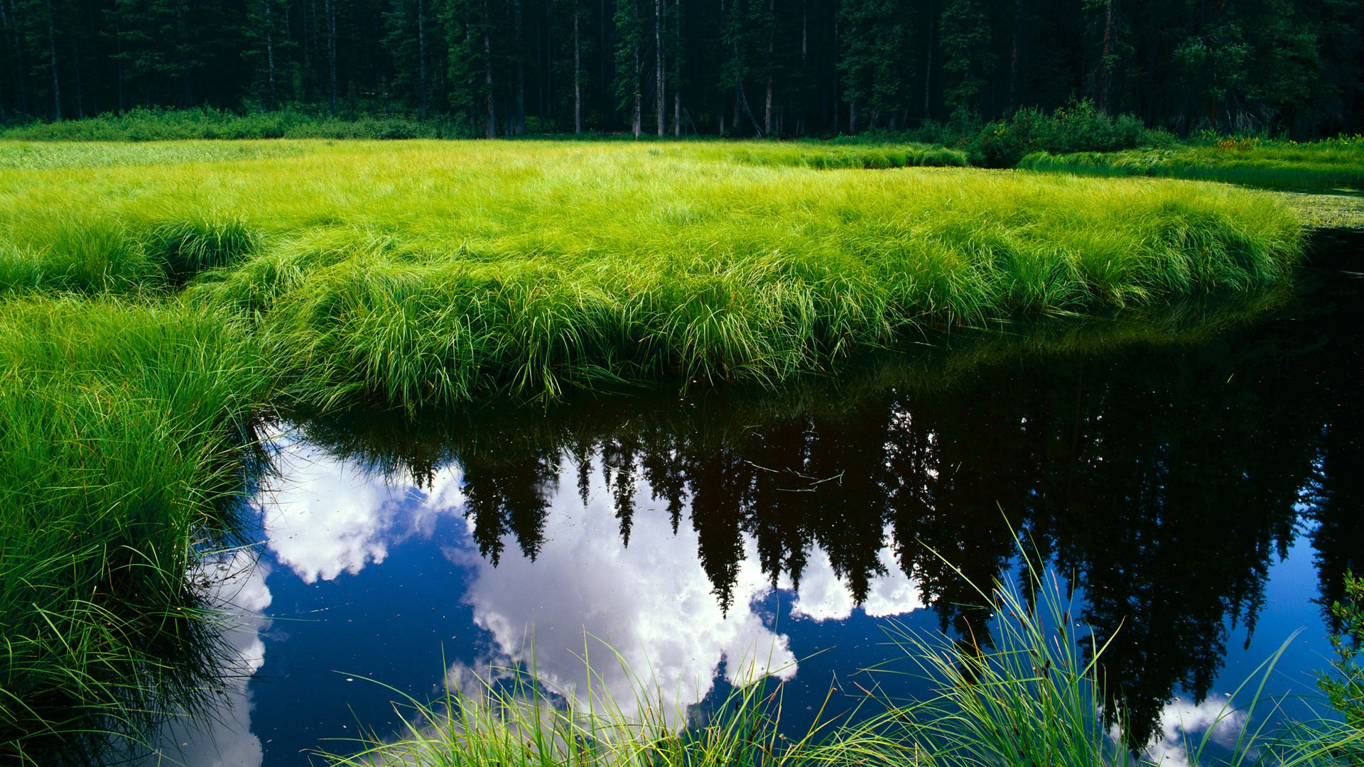 平行赛场，当字母哥穿上深圳队球衣