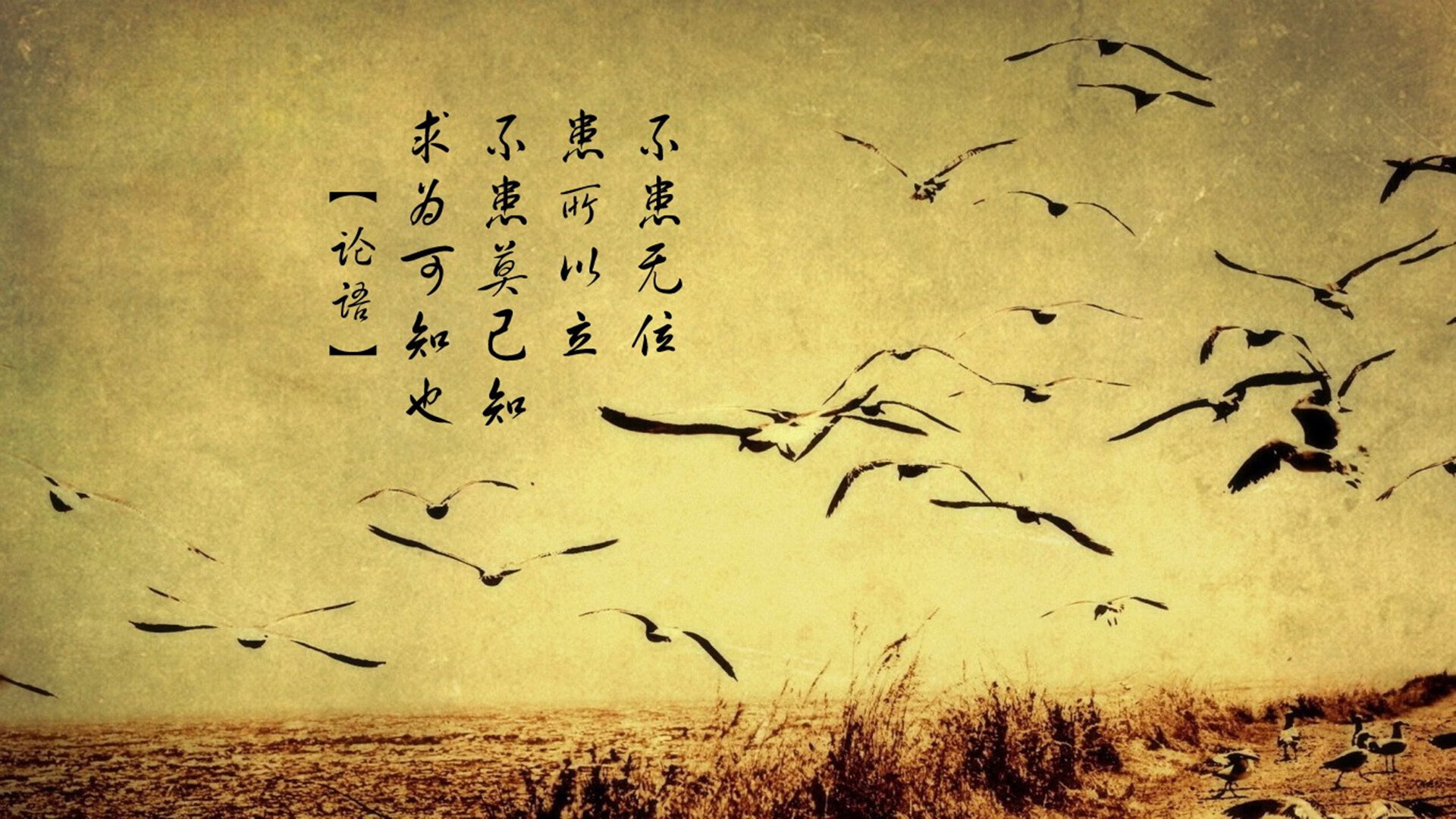 意甲焦点战夜，曼城加时鏖战擒获土耳其黑马