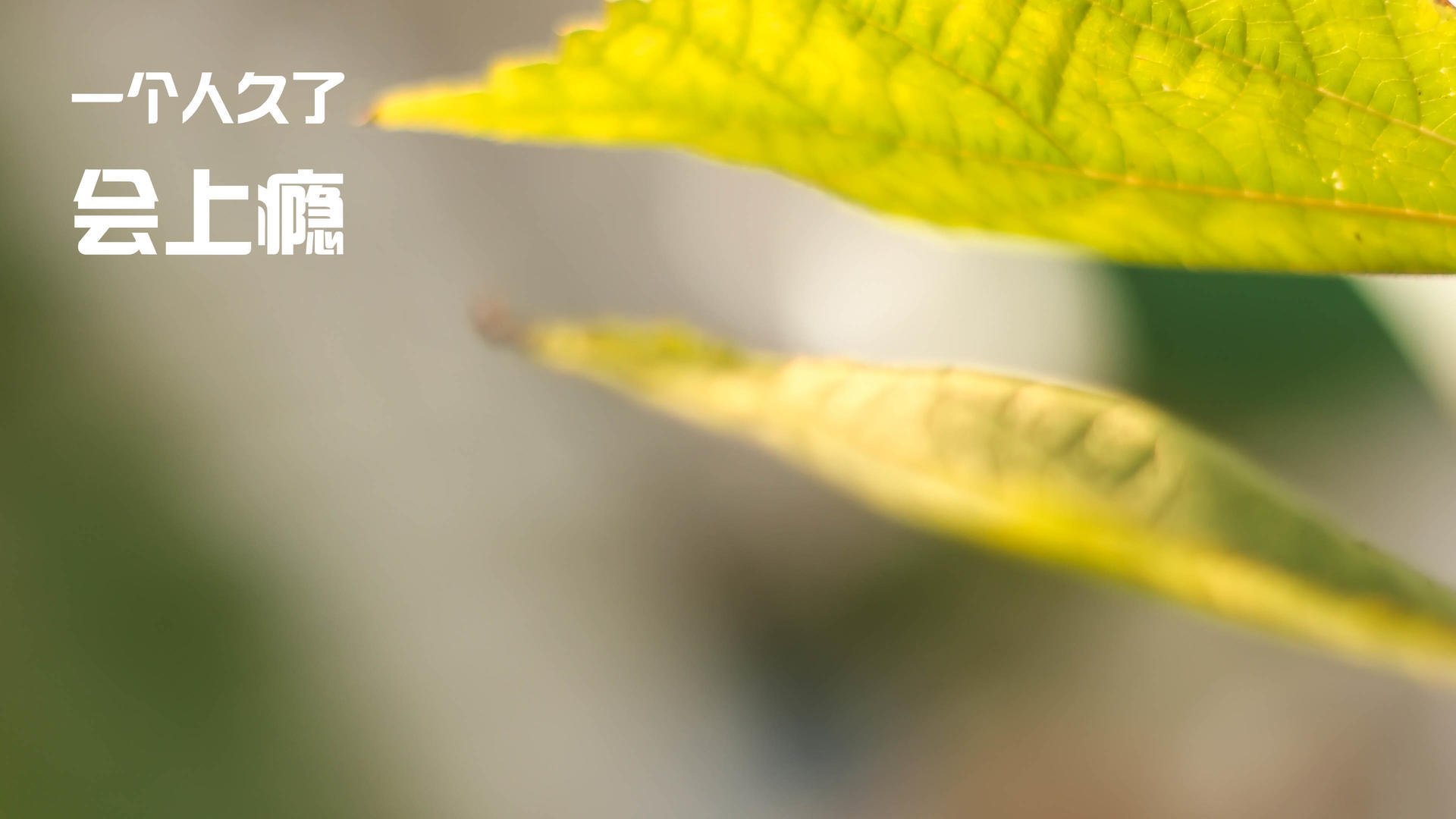 夜幕下，他举起右手三指，克莱·汤普森的跨时空救赎