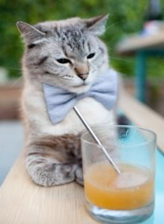 终结者，德罗赞冰封独行侠的连胜火焰