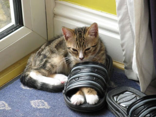 底特律的残局，费城的谜题—以及欧文永不掉线的方程式