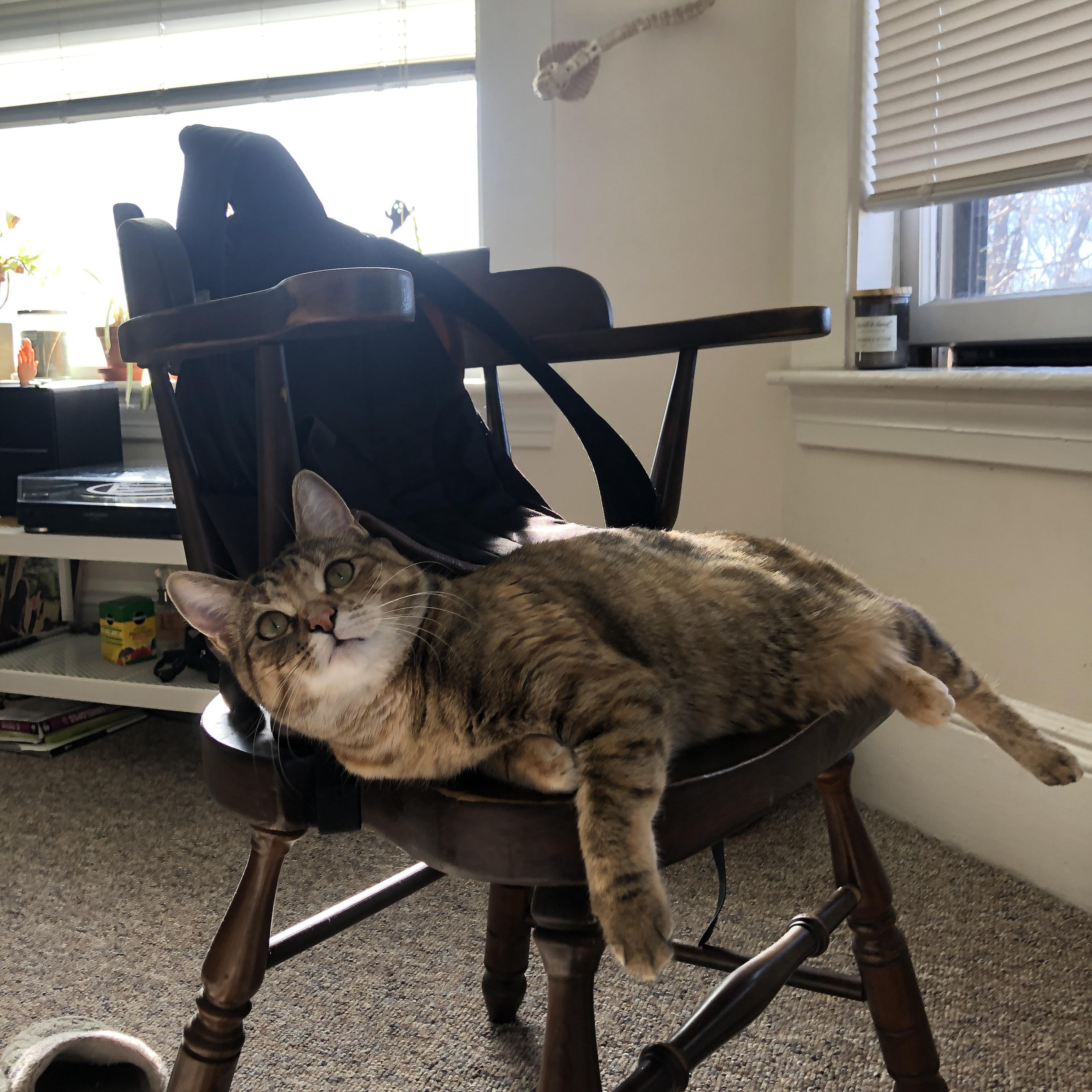 逆流之夜,当快船沉没于底特律,戴维斯在洛杉矶竖起桅杆