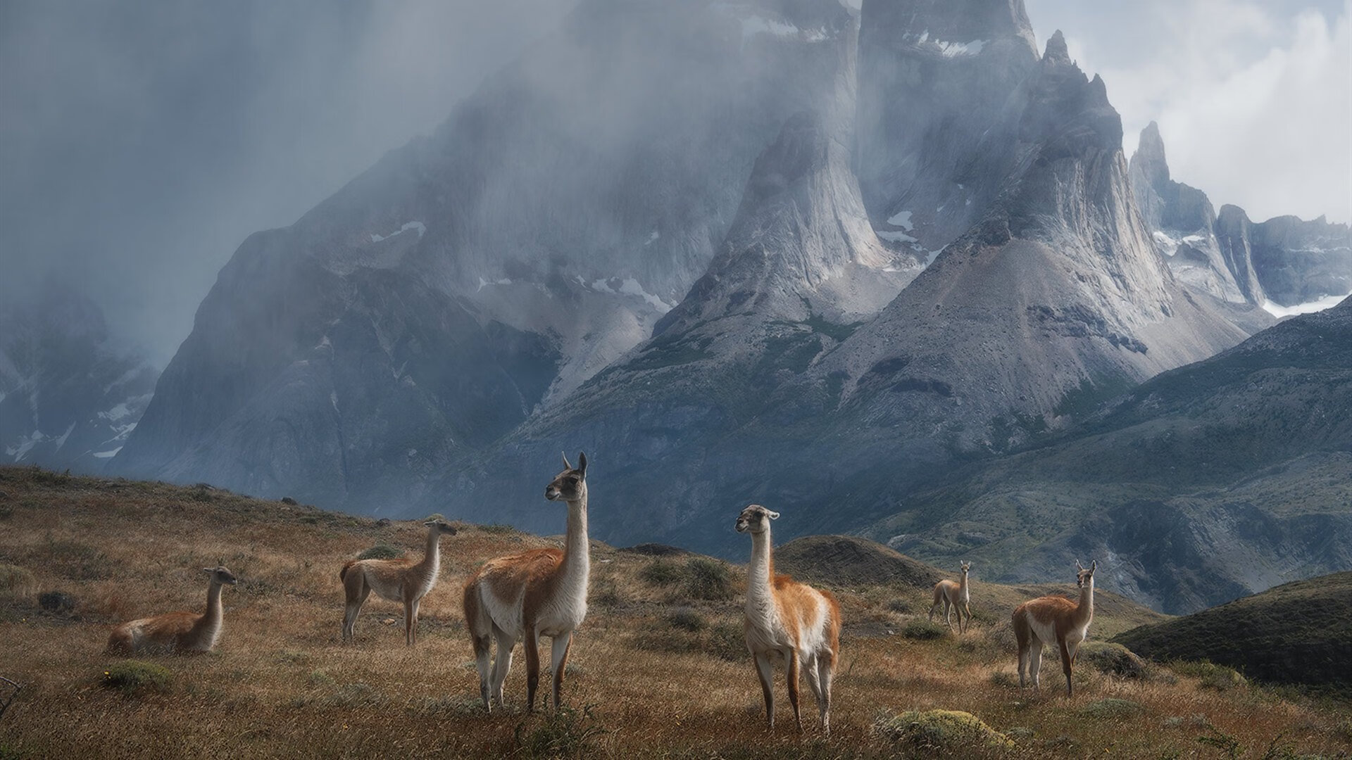 福克斯时刻，活塞硬仗击败凯尔特人，总决赛接管传奇