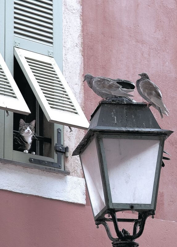 塞维利亚鏖战黄色潜水艇,阿尔瓦雷斯生死时刻一剑封喉