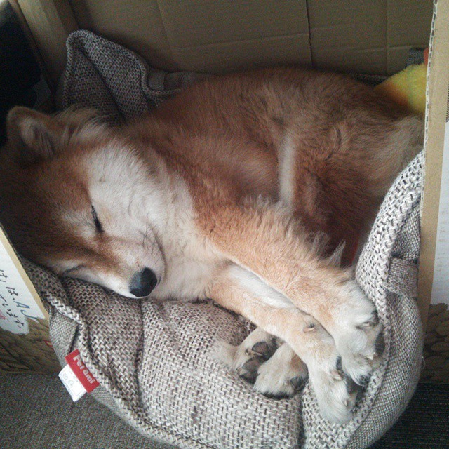 跨次元的对决，当莫兰特在勇士vs步行者之夜定义伟大