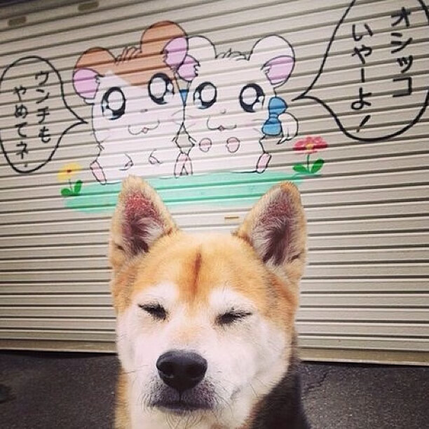 贝恩轰炸，雄鹿破城，一场定义东区格局的攻防美学