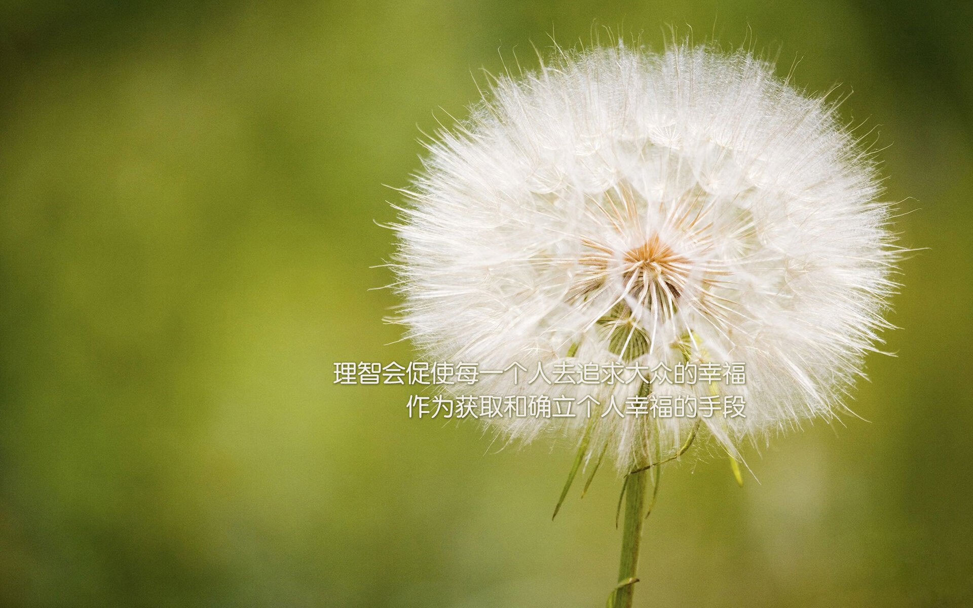 当爵士的慢板乐章冻结篮网快攻风暴，一场虚构西决的节奏生死战