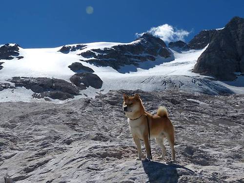当终场哨变成起跑枪，马里绝杀背后的足球寓言