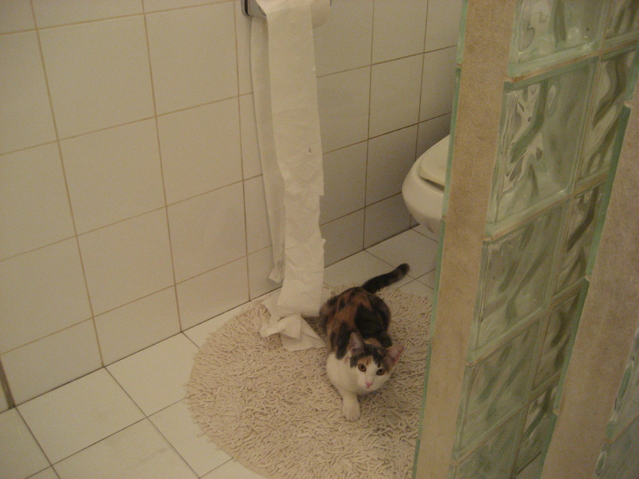 王权旁落，新王当立！苏亚雷斯一剑封喉，里昂末节风暴轻取蓝军