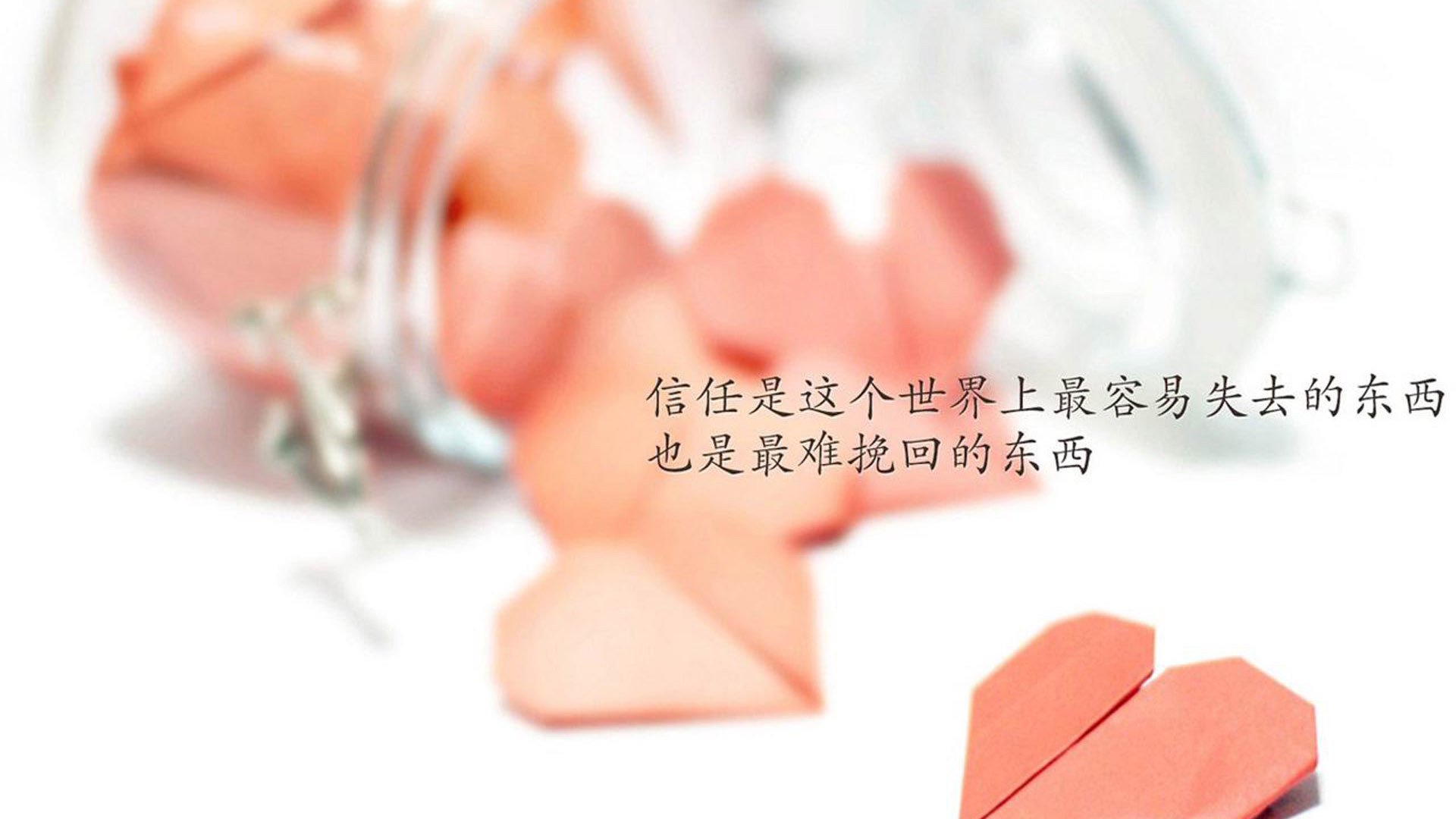 沙漠之狐的冷血一击，当印度在2026世界杯G组完成对挪威的绝杀，哈基米让全球瞠目